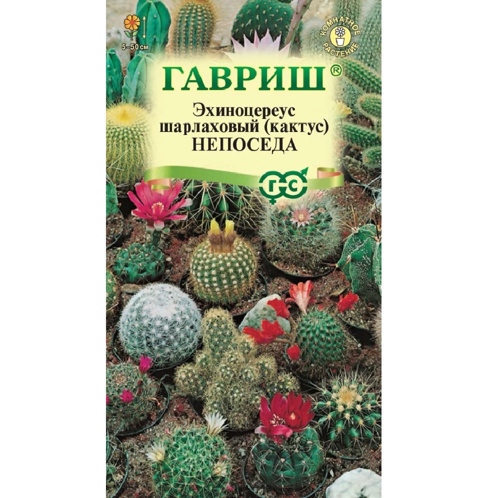 Семена домашних цветов — купить в Екатеринбурге в интернет-магазине ДОМ