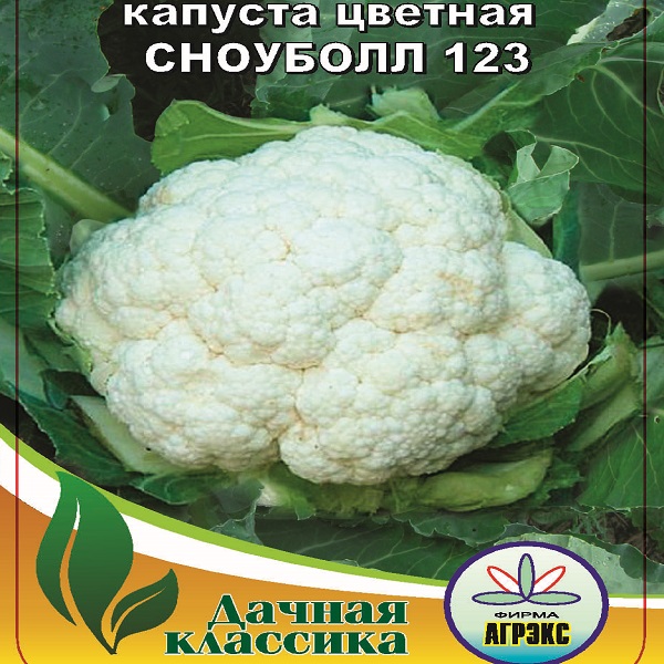 Капуста цветная сноуболл 123 характеристика и описание сорта фото