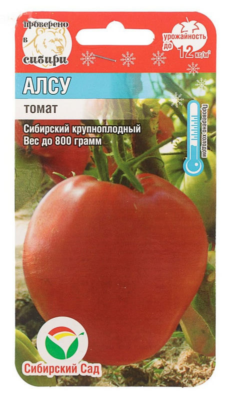 семена помидоры алсу