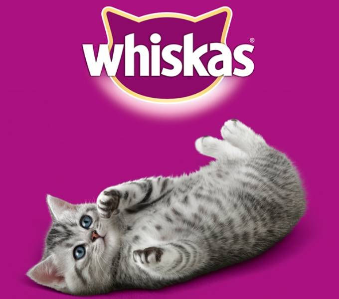 Корм для котят Whiskas паштет с курицей 75г купить в Челябинске в  интернет-магазине ДОМ