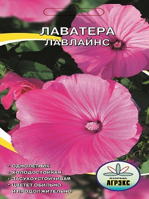 Гортензия крупнолистная 'Libelle' /HYDRANGEA macrophylla Libelle