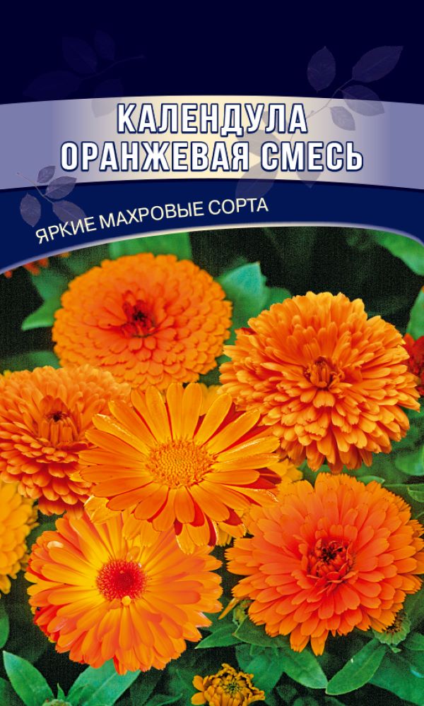 Календула оранжевая