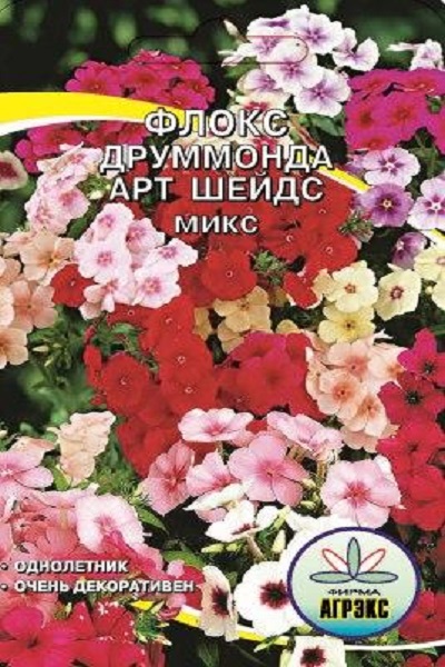 Флокс шейд. Флокс друммонда румянец. Флокс арт шейдс микс. Флокс ред шейдс. Флокс друммонда арт шейдс.