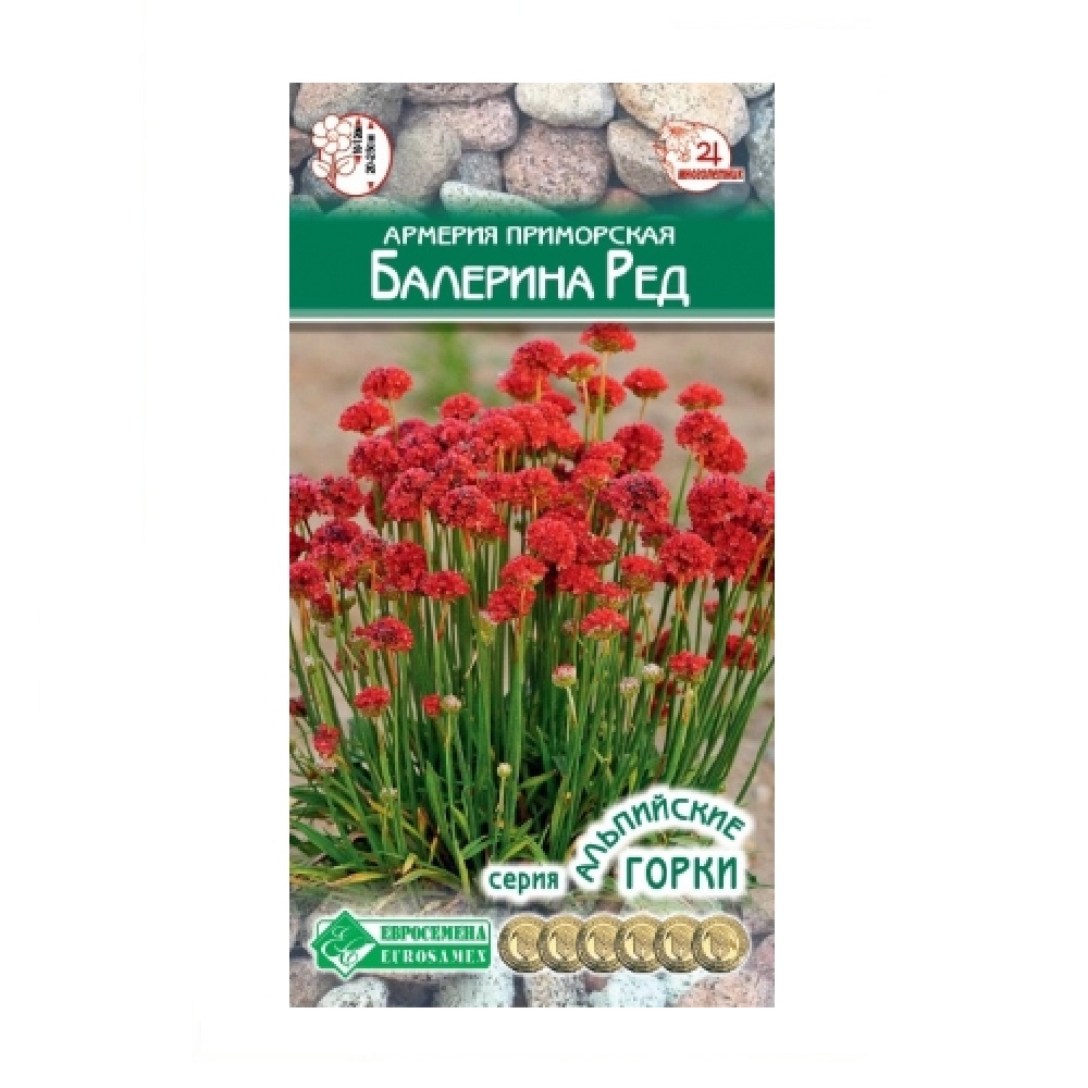 Армерия приморская Балерина Ред купить в Екатеринбурге в интернет-магазине  ДОМ