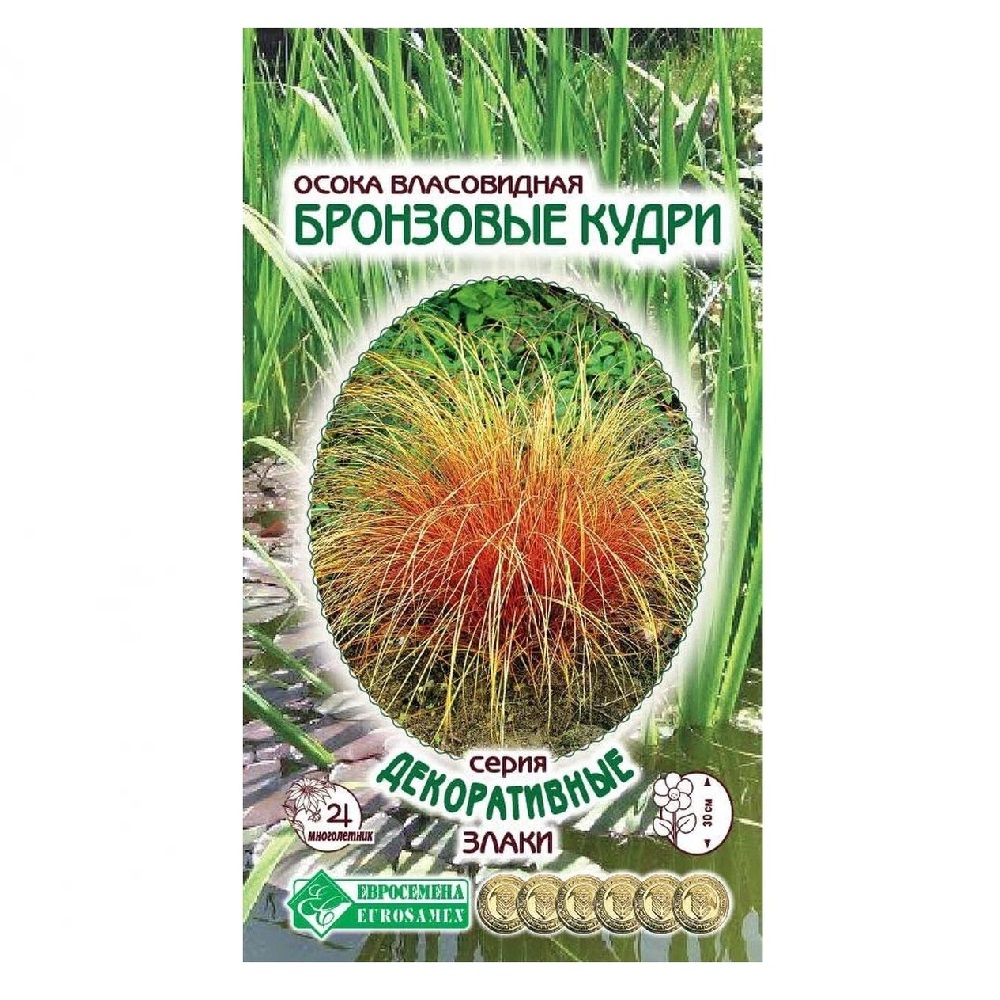 Осока Бронзовые кудри власовидная 5шт купить в Екатеринбурге в  интернет-магазине ДОМ