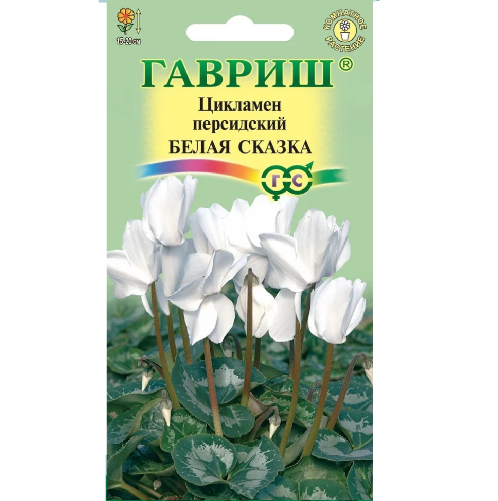 Цикламен Белая сказка персидский 3шт купить в Екатеринбурге в  интернет-магазине ДОМ