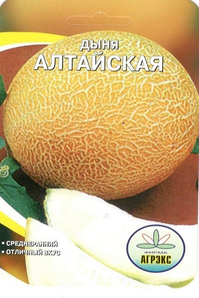 Фото дыня алтайская